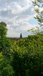 Aussicht auf die Kirche in Frankweiler
