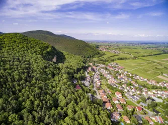 Luftaufnahme Frankweiler