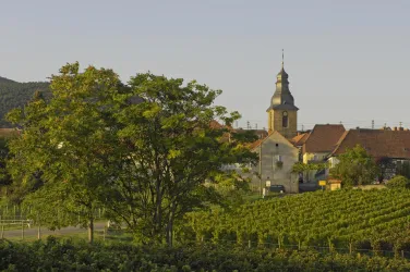 Blick auf Frankweiler