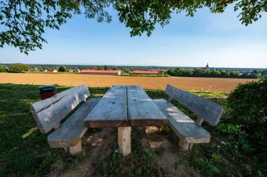 Picknickplatz über Steinfeld (© Tourismusverein Bad Bergzaberner Land e.V.)