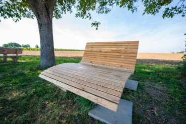 Picknickplatz über Steinfeld_Liege (© Tourismusverein Bad Bergzaberner Land e.V.)