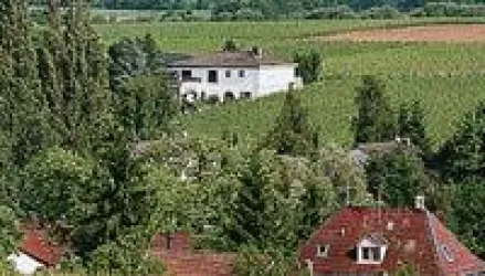 Ludt