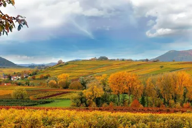 Landschaft Wollmesheim