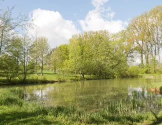 Landschaftsweiher in Landau-Wollmesheim