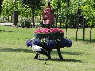 Storch (© Weingut Lorentz)