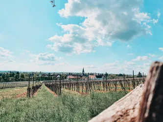 tolle Aussicht oberhalb von Landau-Arzheim