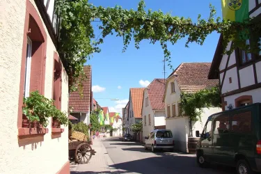 Landau-Wollmesheim (© Landau Stadt - BfT)