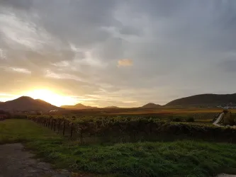 Umgebung in der Dämmerung (© Julia Fluck)