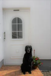 Willkommen (© Julia Fluck)