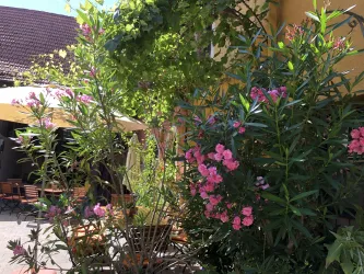 Unter freiem Himmel