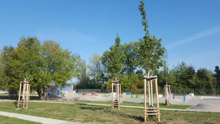 Spiel&SportcampusSkatepark