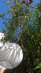 Urlaub