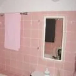 Bain Rose