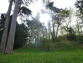 Landauer Nordpark heute (© Frank Hetzer)
