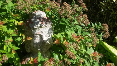 Budda im Garten