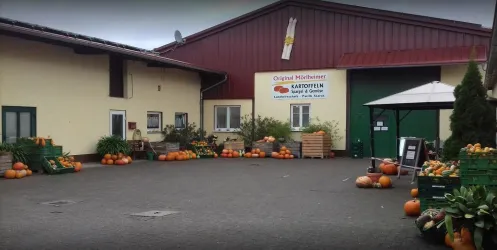 Hofansicht zur Kürbiszeit