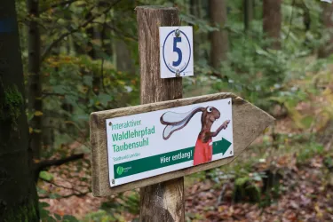 Waldlehrpfad Station 5