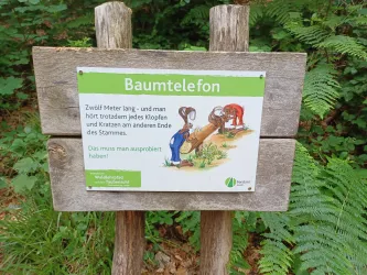 Baumtelefon