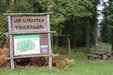 Waldlehrpfad Taubensuhl