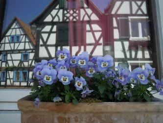 Sehenswürdigkeiten, Rheindörfer