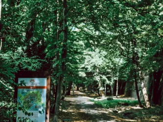 Im Landauer Fort