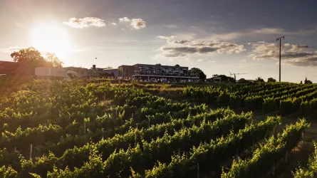 Herbstgenuss in der Vinothek Sauer 2