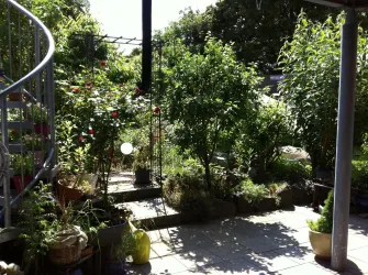 Blick in den Garten (© Carola Mühlen)