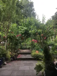 Gartenblick (© Carola Mühlen)