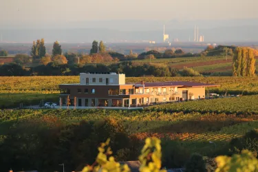 Vögelis Weinnest