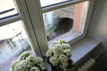 Ausblick 1
