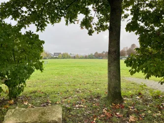 Park am Rathaus Offenbach (7)