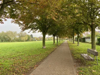 Park am Rathaus Offenbach (6)