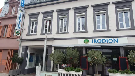 Irodion, Grünstadt© CC-BY-SA, Sabine Sprinz