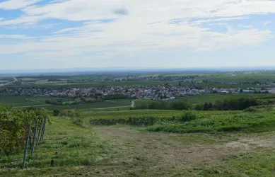 Blick auf Sausenheim
