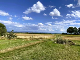 Blick von Himmelsliege 3 Grünstadt