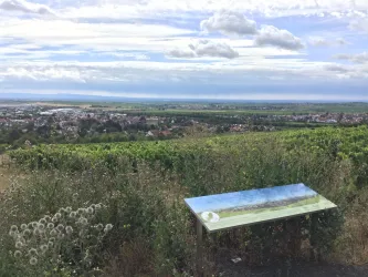 Panoramablick - mit Erläuterungstafel