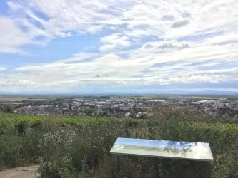 005 Pano5