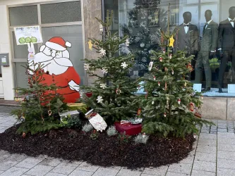 Grünstadt Weihnachtsinsel Fuzo