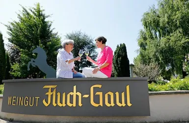 Fluch-Gaul_Weingut_7