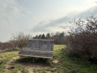 Himmelsliege 4 Steinzeitblick