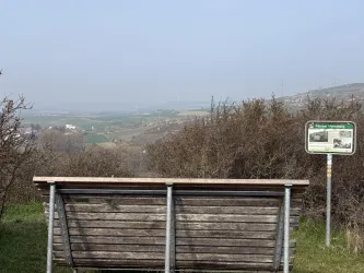 Blick Asselheim Steinzeitblick