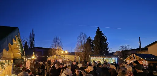 Asselheimer Lichterglanz © CC-BY-SA, Sarah Bitz