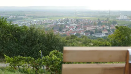 Blick auf Asselheim von Weinwanderhütte aus