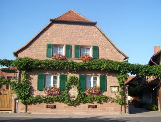 Weinhaus Grün