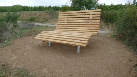 Himmelsliege 5 Asselheim