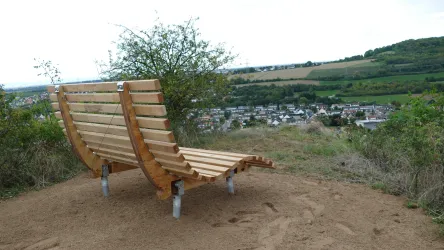 Himmelsliege 5 Asselheim