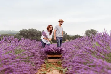 BlauSinn Lavendel