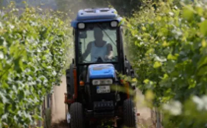 Arbeiten im Weinberg (© Wein- und Sektgut Heiner)