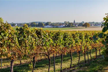 Rohrbach 2 (© Verein Südliche Weinstrasse Herxheim e.V.)