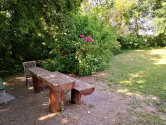 Rohrbacher Grillhütte Picknickplatz ganz
